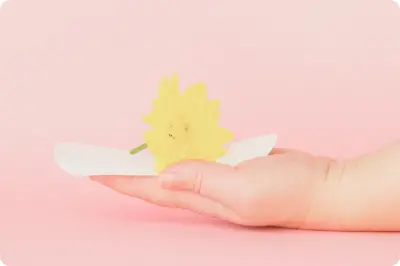 ピンクの背景で小さな黄色い花を手のひらに乗せている写真